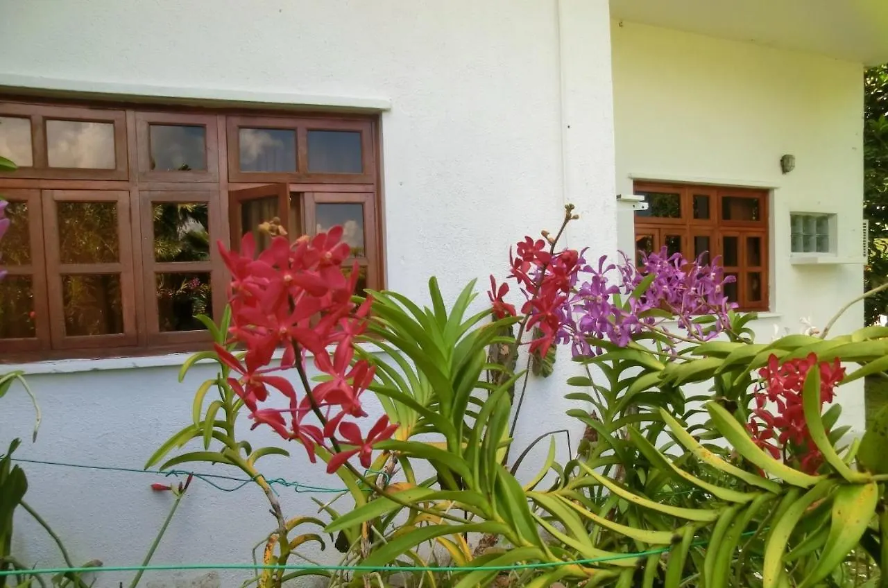 Orchid Sunset Guest House Baie Lazare  Seychelles