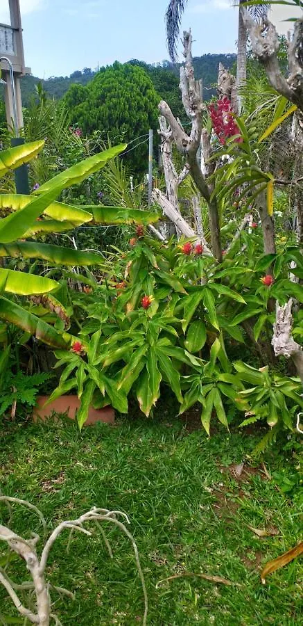 Orchid Sunset Guest House Baie Lazare