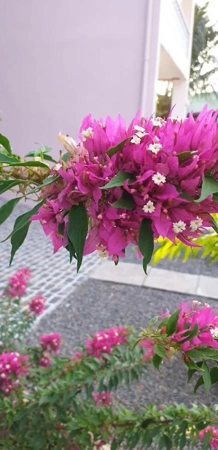 Orchid Sunset Guest House Baie Lazare  Seychelles